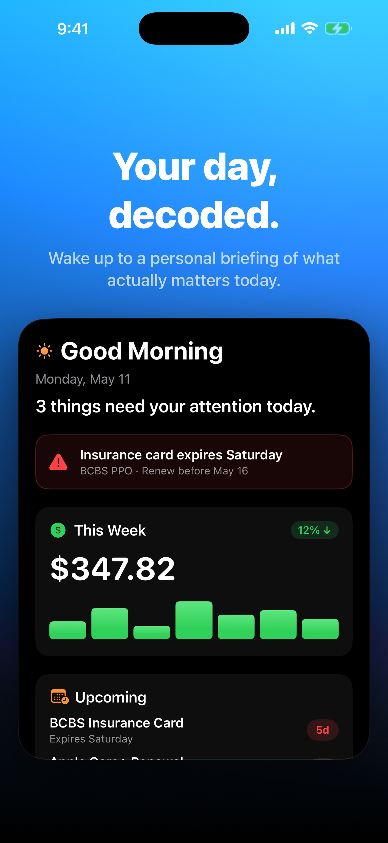 Daily Briefing — morning summary with urgent alerts, weekly spending, and upcoming deadlines